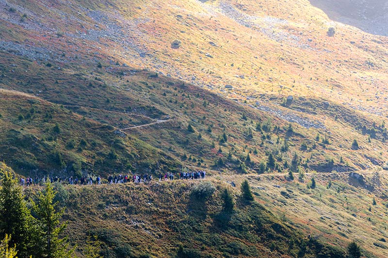 activités sportives Collège Planta